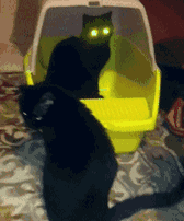 |搞笑段子：人死了，存折密码不知道，银行非要本人来