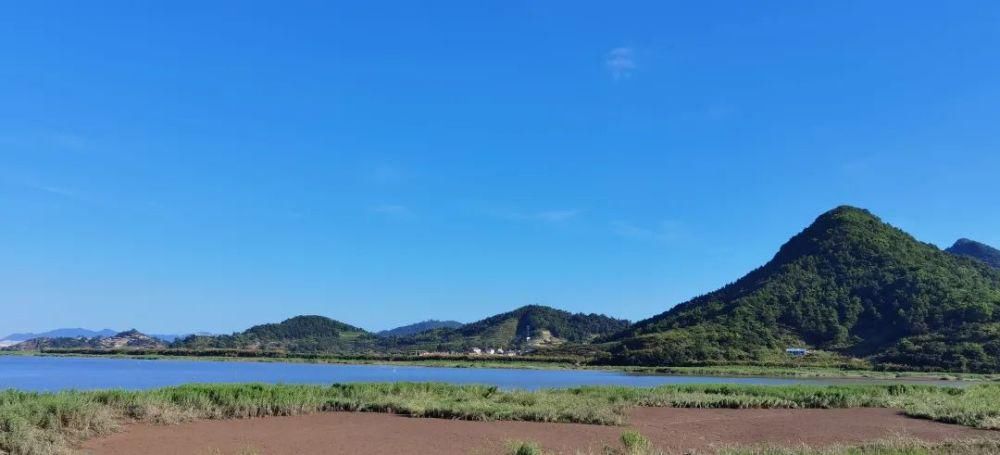  码头|褚树荣：在乡愁码头上《若有所思》