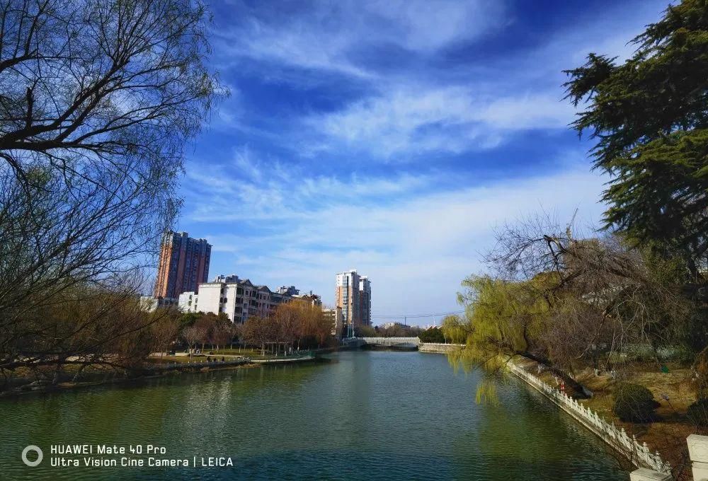 老年|春暖花开!阜城第一波春色来啦~