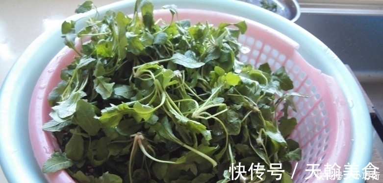 日本人称它为“长寿菜”，每周至少吃3次，我国产量大却无人问津