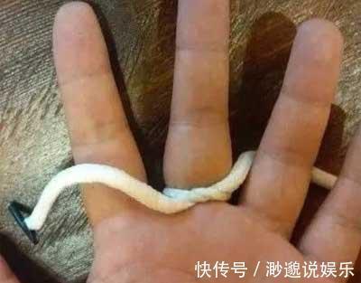 鼻子|上厕所拉不出不来一个地方拍三下,便意“自然来”