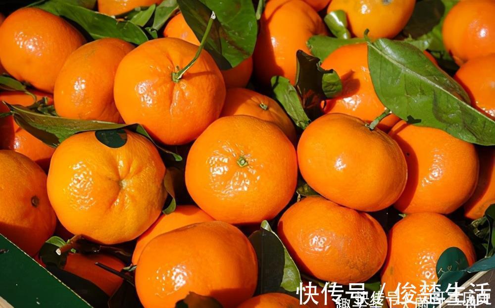 橘子皮别再扔掉了,用水煮一煮,没想到这么实用,看完后涨见识了