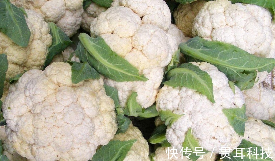 抗癌|吃完菜花一个小时内,不要碰此物,却有很多人不清楚,早知早好