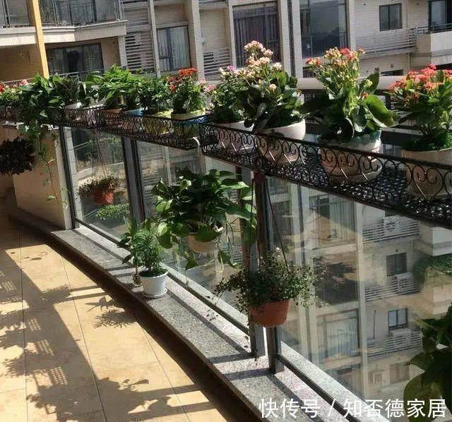 阳台上|原来阳台还可以这样设计,功能多又漂亮,进门就让人眼前一亮