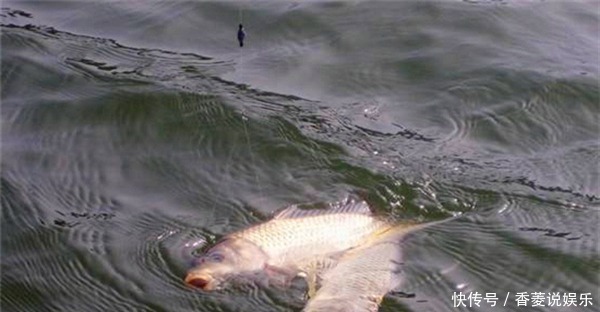 冬季|冬季钓鱼5大误区,遇上这些“坑”,一定记得绕道走!