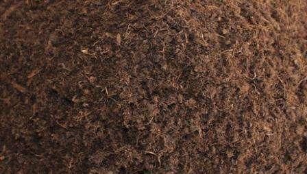 养花不死,全靠盆土,用这个土养花,能活几十年