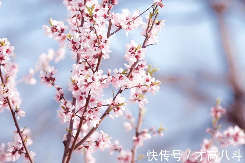 江月@100首春天唯美古诗词（值得收藏）