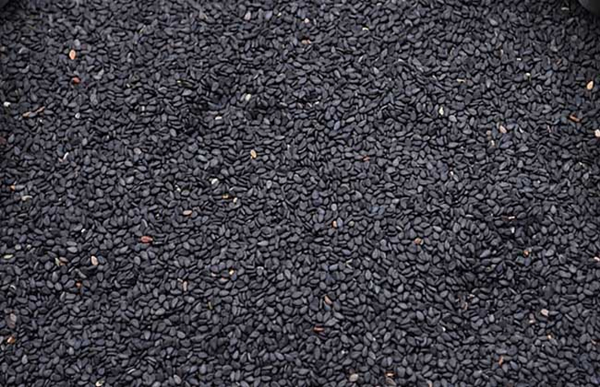 “世上只有芝麻好，可惜凡人生吃了”！黑芝麻生吃好还是熟吃好