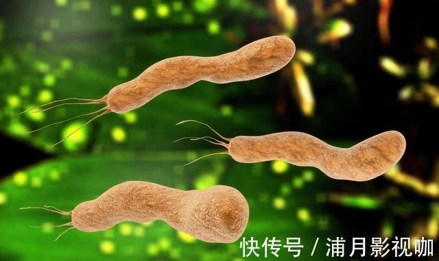 幽门螺旋杆菌|家人患了癌症，会传染给自己吗医生提醒2种癌症会传染