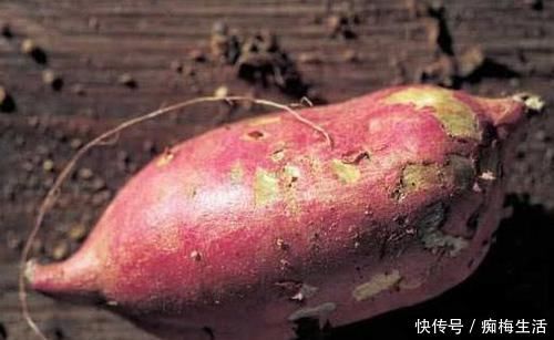 红薯|这些食物,专克高血脂,每天吃一点,净化血液,血栓不来扰