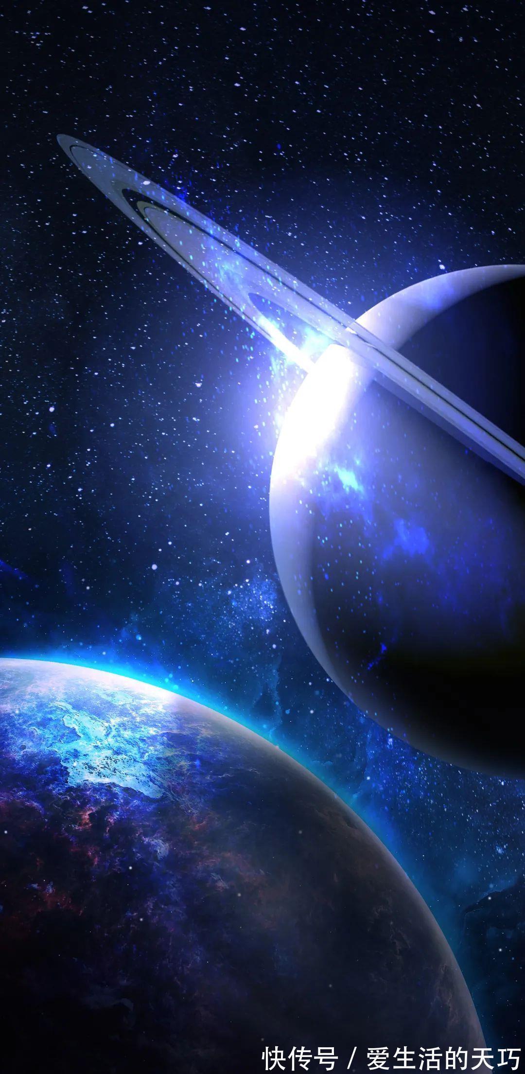 花解语|2172手机壁纸|温柔扑了个空才长记性