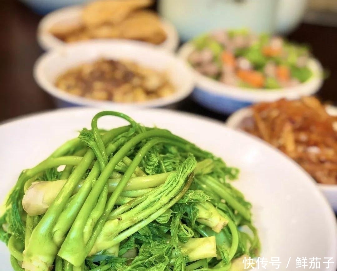 它叫阳虎刺，长得像香椿，但比香椿好吃，现在正美味，遇见别错过