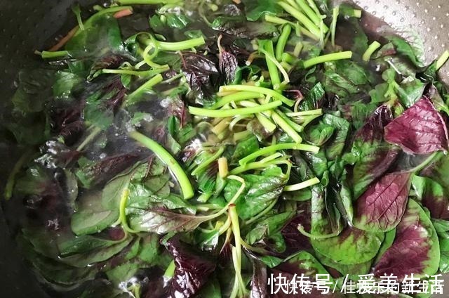 苋菜|它是蔬菜中的瑰宝，民间称“长寿菜”，立秋后要常吃，错过等1年