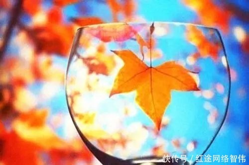 精进|曾国藩:人生的精进之道