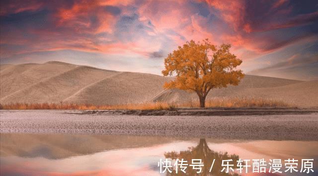 陌生人|内心脆弱,分手就后悔的生肖,脾气古怪,永远无法进入他们的内心