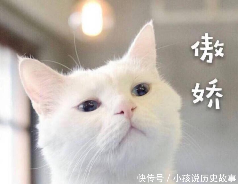 t一梦江湖:就回来吧回来吧~是什么拉着我们继续驰骋江湖