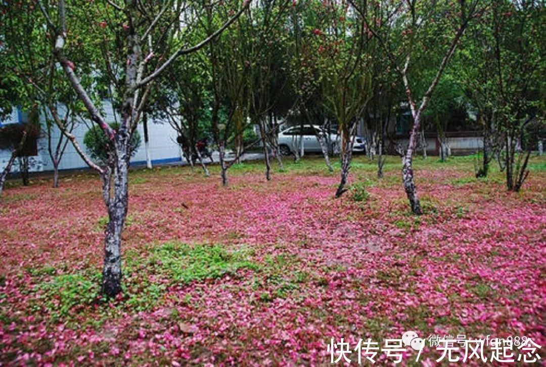 李商隐@中国古代有一首诗,千年来几乎无人能读懂,千年来却人人赞不绝口