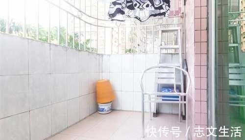 发黄|发财树发黄还烂根?水浇错了,换个浇法呼呼疯长,植株苍劲挺拔