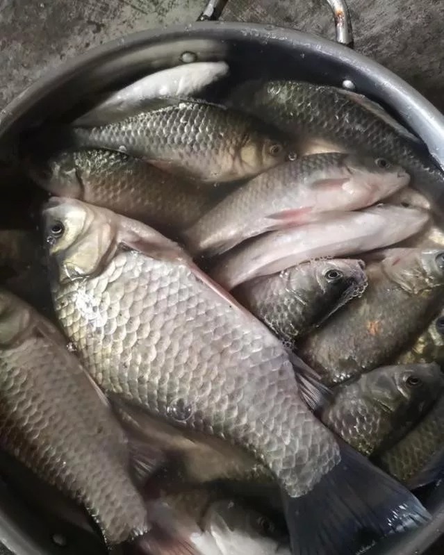 钓位|冬季钓鱼到底该钓多深?弄清楚这3个问题,离爆护就不远了