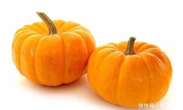 富含大量|女人气血不足？不妨常吃这4种食物，有助于补血益气，养出好气色