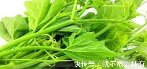 补充营养|女性想要身体好,不妨多吃3种食物,补充营养,增强体质