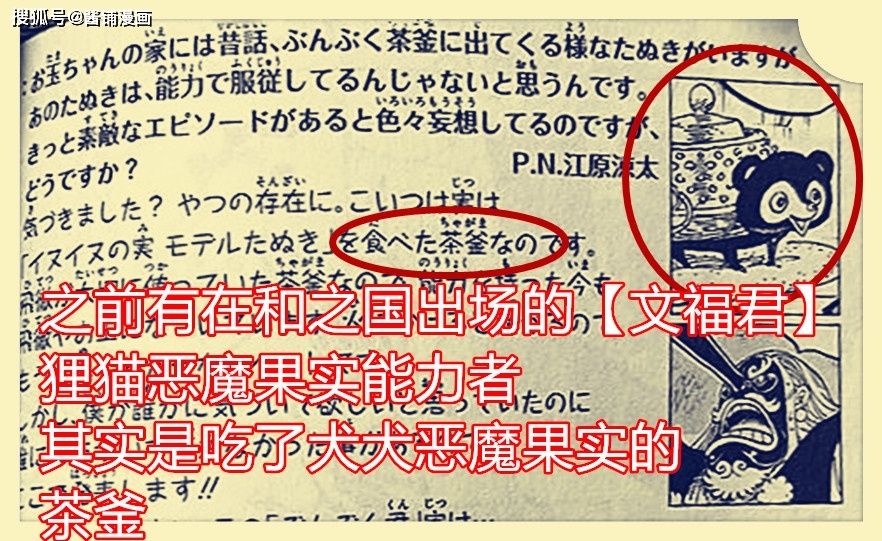 海贼王1009话，九侠又开挂并让大蛇领便当，狸猫果实能力者上线玩耍