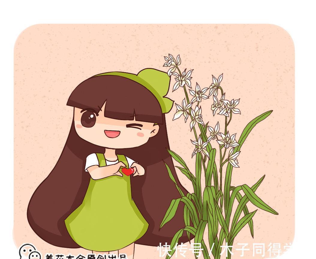 差别|你养的未必是兰花,种类多差别细,国兰种类大科普
