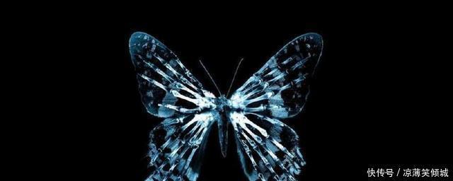 顶替|皇帝命妃子侍寝,宫女顶替,结果生下千古一帝!