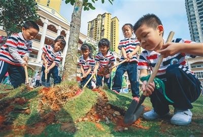 幼小衔接怎么接？