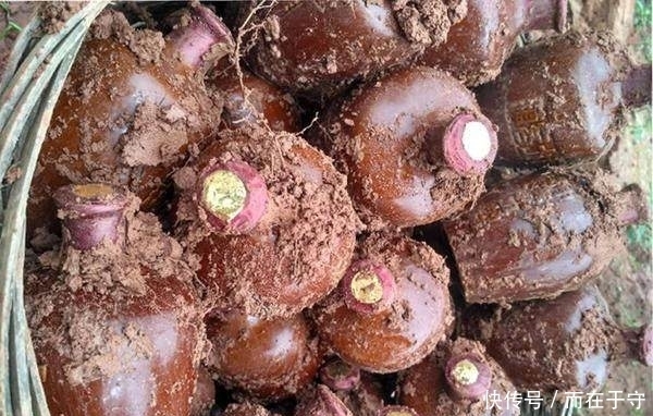 宋江|梁山108好汉,谁的死最让你感到无法接受?