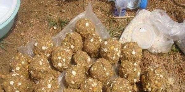 野钓时四种错误的打窝方式,钓不到鱼还浪费饵料