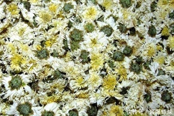 滋阴药|山楂、枸杞、黄芪、丹参、决明子、菊花一起泡水喝可以吗?