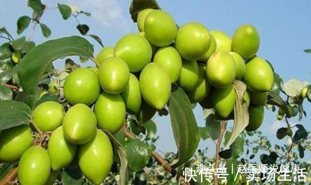 三七皂苷|人到中年,推荐常吃三种食物,排毒养颜,增强体质