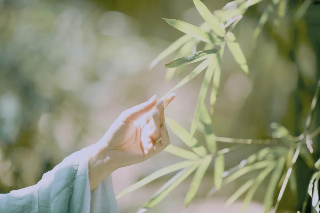 鹧鸪天|12句动人心魄的诗词,千古绝唱的美!