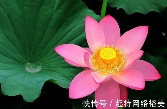 福运$老祖宗:积“阴德”的3件事,常做福运不请自来,你做了几件?