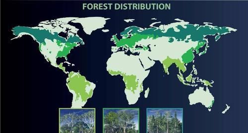 小行星撞地球导致恐龙瞬间灭绝了吗，这个瞬间持续了多长时间？