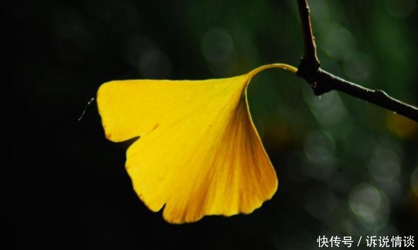 家人|曾国藩:在这3方面舍得花钱的人,即便再穷,也有财源滚滚的一天