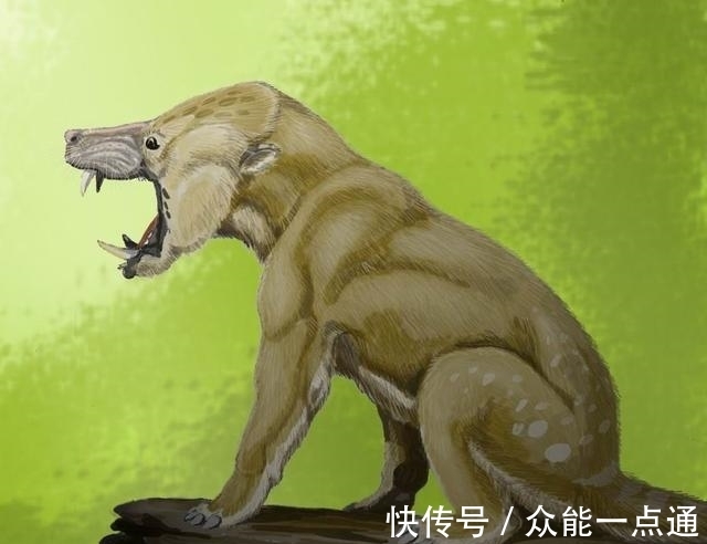 公孙龙@乱套了!犀牛原来是马不是牛,河马原来是牛不是马?