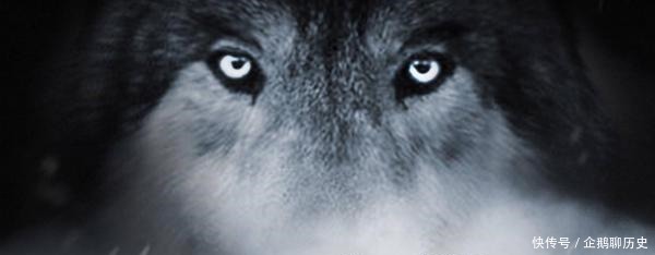 立国|突厥先祖的“立国策略”颇具智慧,天时地利人和,助推突厥崛起