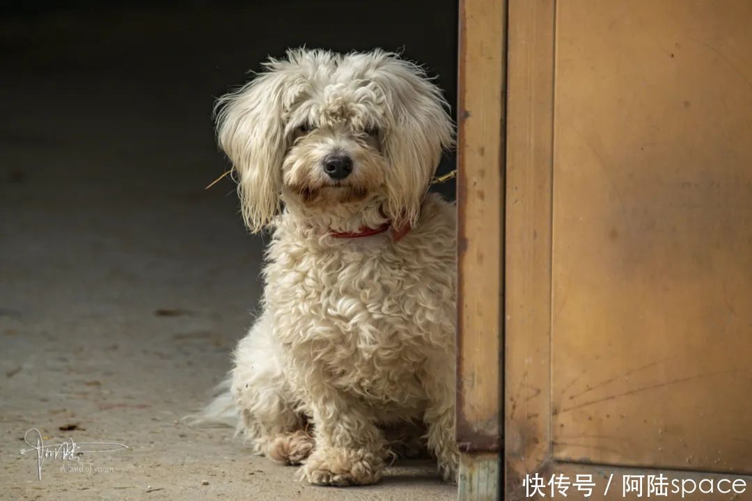  骑马|想体验骑马不一定要去内蒙古，在嘉兴南北湖就可以圆这个梦