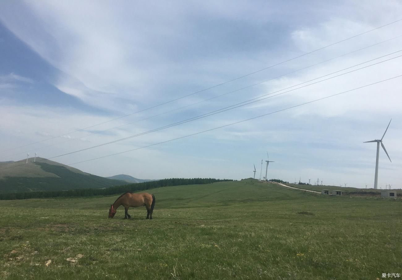 坝上草原一望无际，让人流连忘返