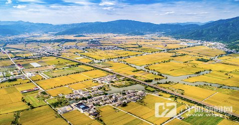 鸣山村|13平阳县红都绿野·碧海仙山自驾游线路