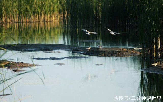 新疆有条“神秘”湖泊，藏匿于沙漠之中，人们心中的绿洲