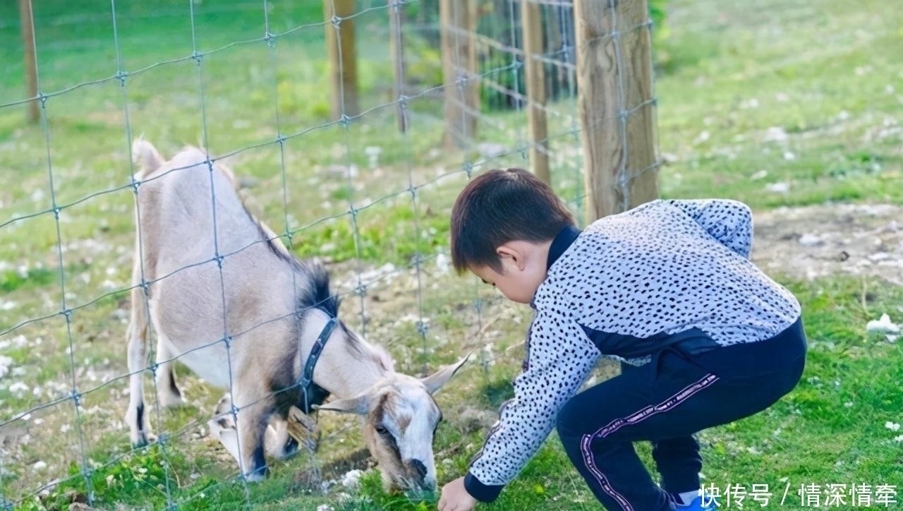 近视|美国最新研究发现:玩手机并不会让孩子近视,这件事才是“真凶”