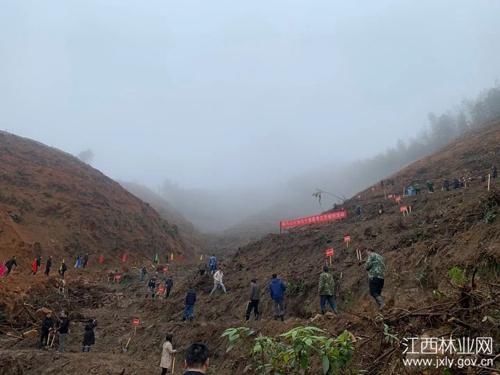 老年|宜春市明月山温泉风景名胜区组织义务植树活动