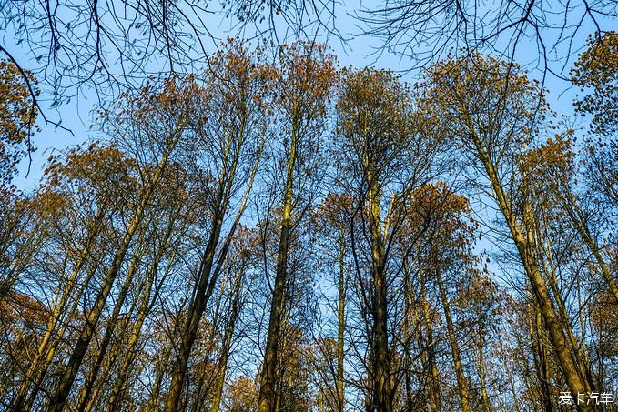 中年|春暖花开游江南-千垛景区水上森林之旅