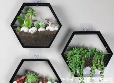 这些旧物都可以挂墙上养花,比挂画还好看呢,5种变废为宝创意!