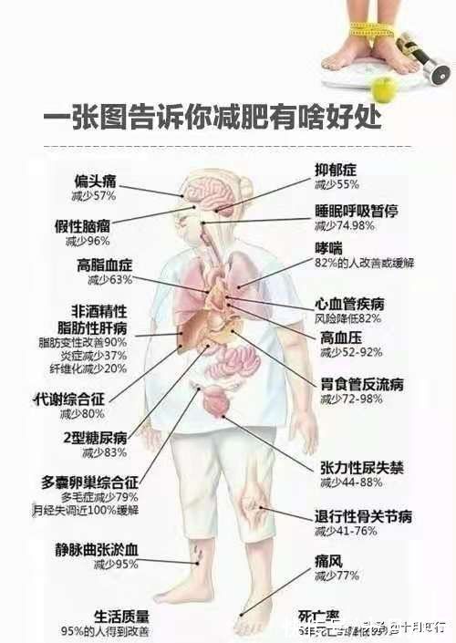 腹部脂肪|中年以后如何减掉腹部脂肪，做针对性调整，让腹部保持平坦