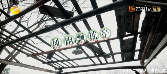 同款|《向往5》下期太精彩,杨紫加盟不算啥,和张艺兴同款睡裤才是美!
