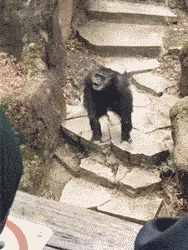 |搞笑GIF:新娘子扭的好欢乐,这一定是嫁给了爱情~